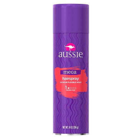 Amazon.com : Mega Aerosol Hairspray 14 fl oz : Beauty.
